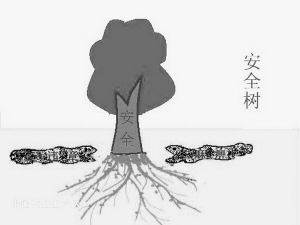 DƬַ1